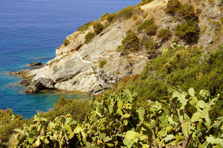 Acqua Dell'Elba