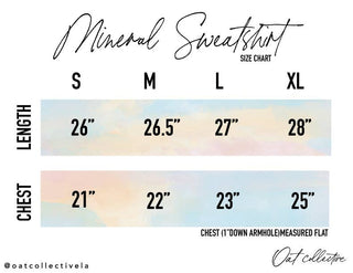 VINTAGE DENIM OAT COLLECTIVE - JOY TO THE WORLD    Mineral Graphic Sweatshirt