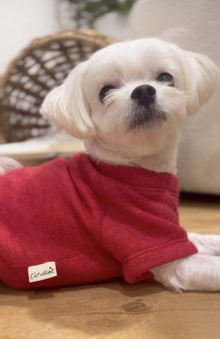 OAT COLLECTIVE - LITTLE BEACH BUM Pet Graphic Sweatshirt.