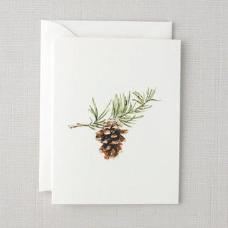 emily lex studio - Evergreen notecard set