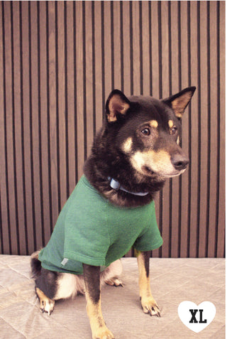 OAT COLLECTIVE - LITTLE BEACH BUM Pet Graphic Sweatshirt.