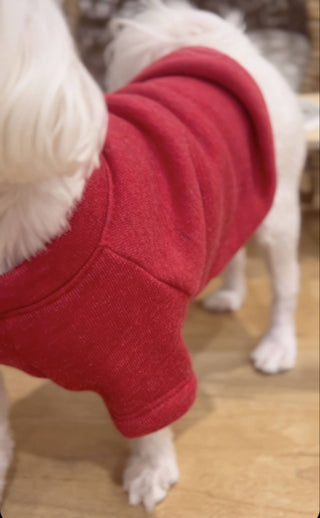 OAT COLLECTIVE - LITTLE BEACH BUM Pet Graphic Sweatshirt.