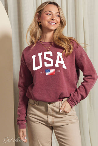 USA EST. 1776 Mineral Washed Graphic Sweatshirt