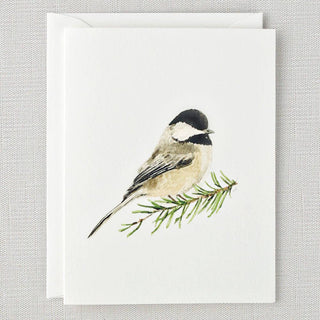 emily lex studio - Evergreen notecard set