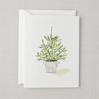 emily lex studio - Evergreen notecard set