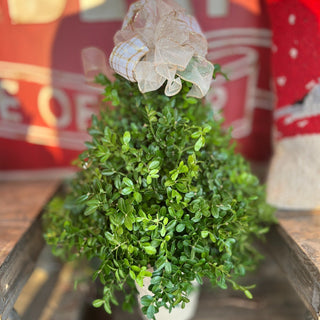 Fresh greens tabletop holiday tree with a festive bow